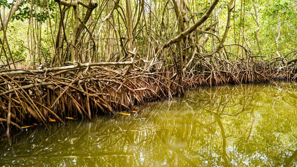 350_380 Imagen destacad de la exp-min