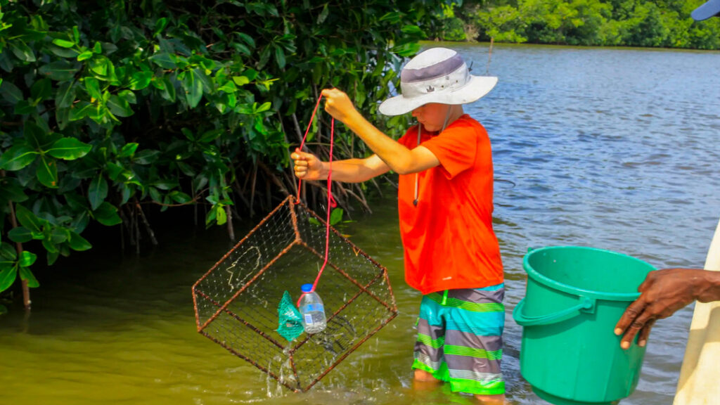 rs=w_2320,h_1547 (3)